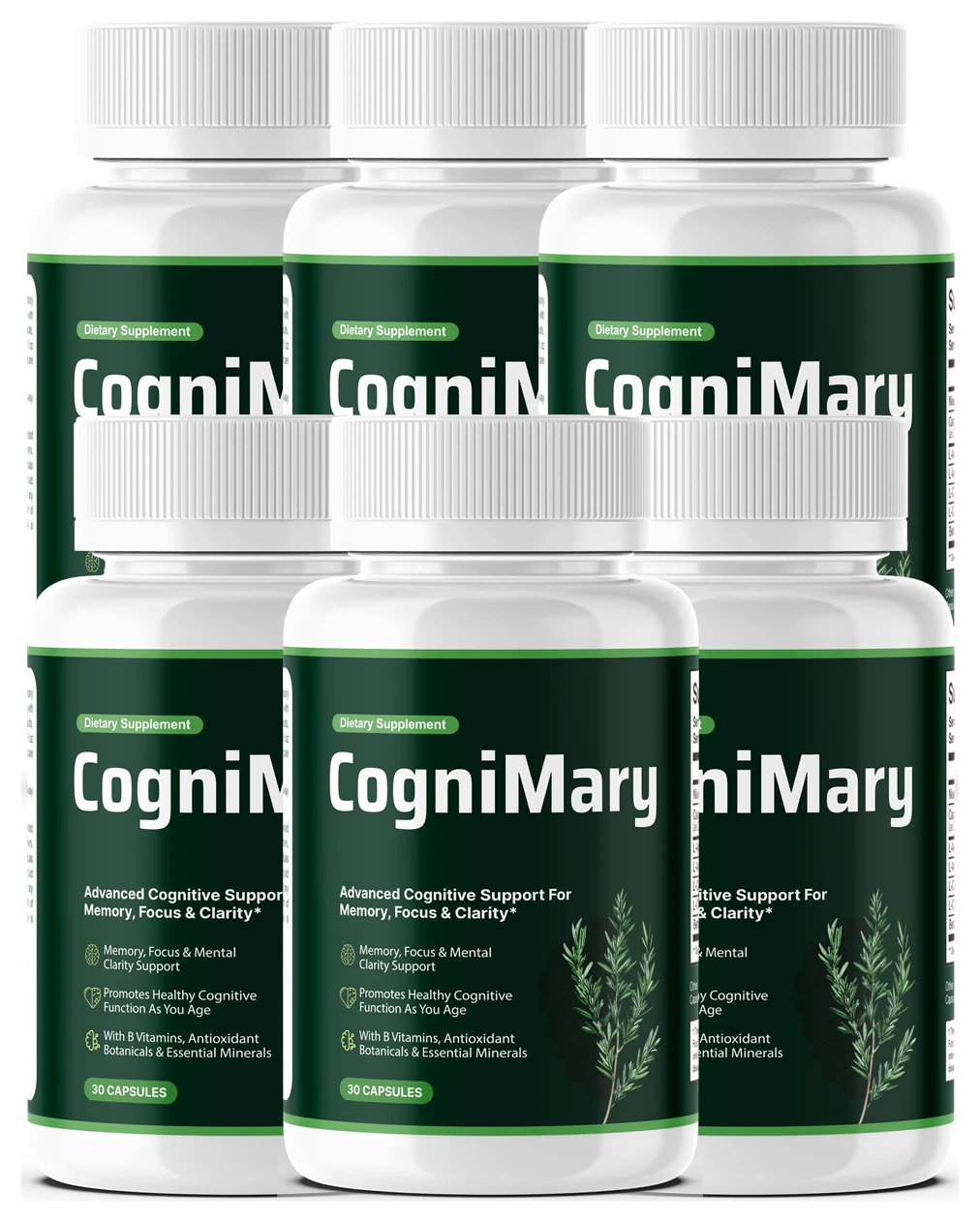 CogniMary six bottle pack